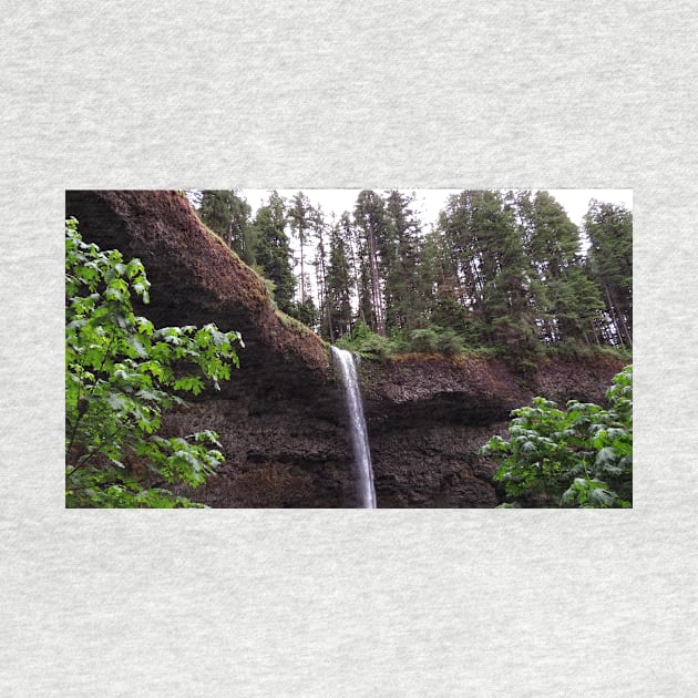 Silver Falls State Park Oregon by supernova23